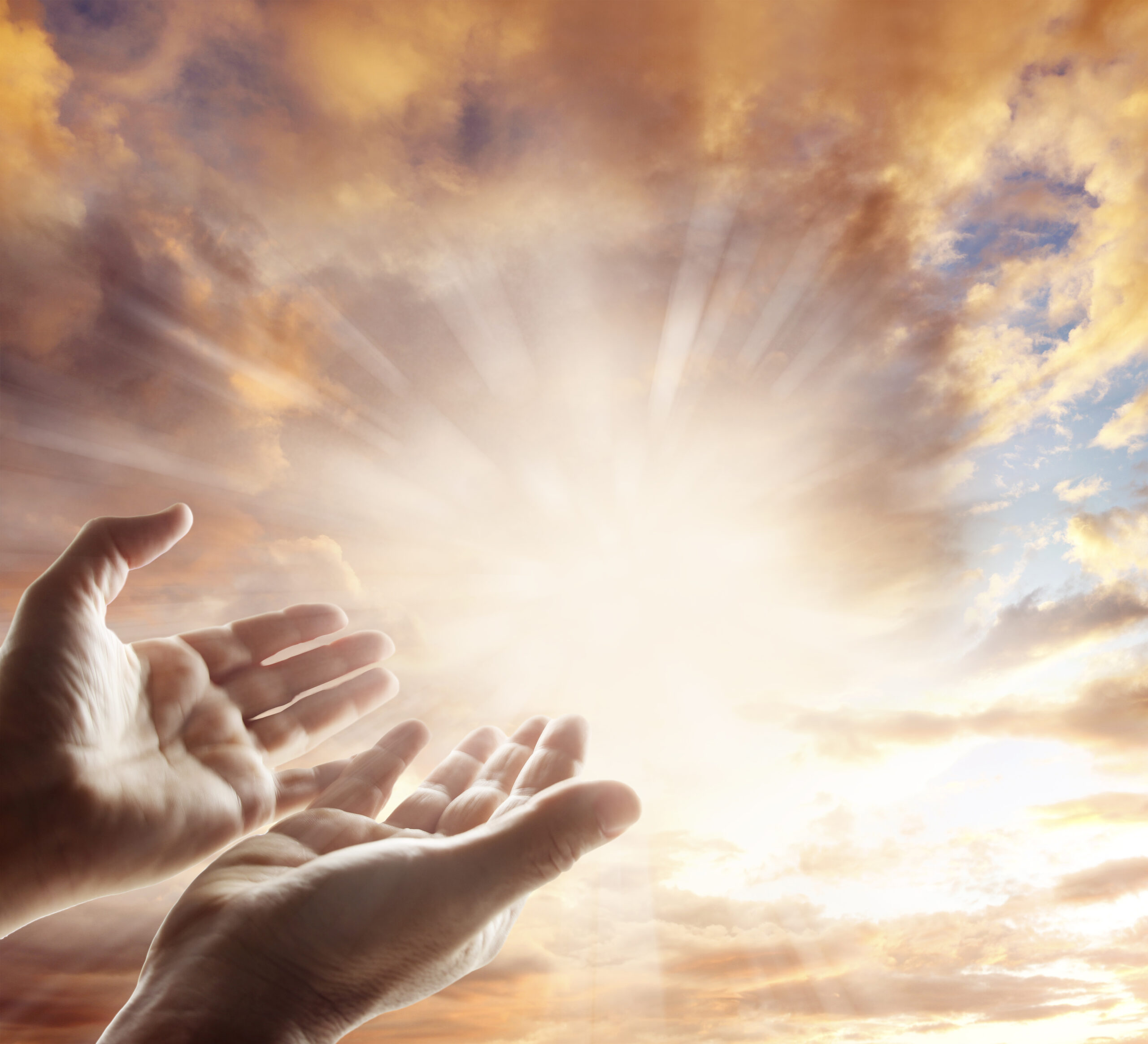 Hands reaching for the sky